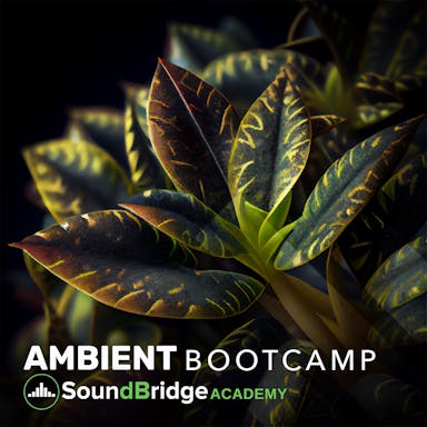 This is an image of the Ambient Boot Camp album art.