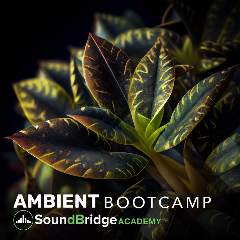 An image of the Ambient Boot Camp album art.